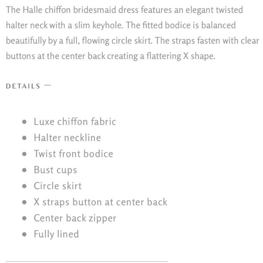 NEW Jenny Yoo "Halle" Halter Bridesmaid Dress in Terracotta Luxe Chifon size 6 - Picture 7 of 15